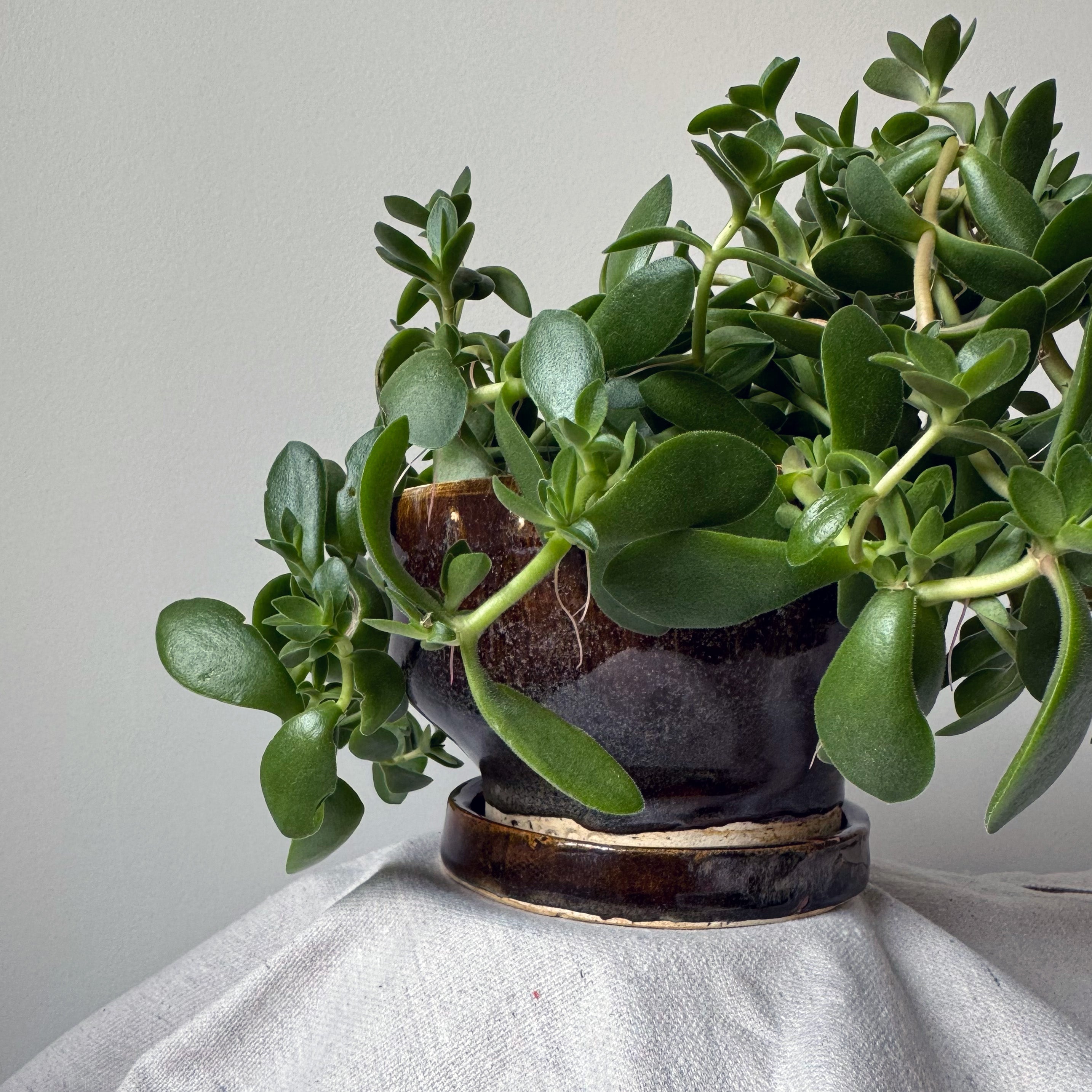 On View at Warren’s Landing