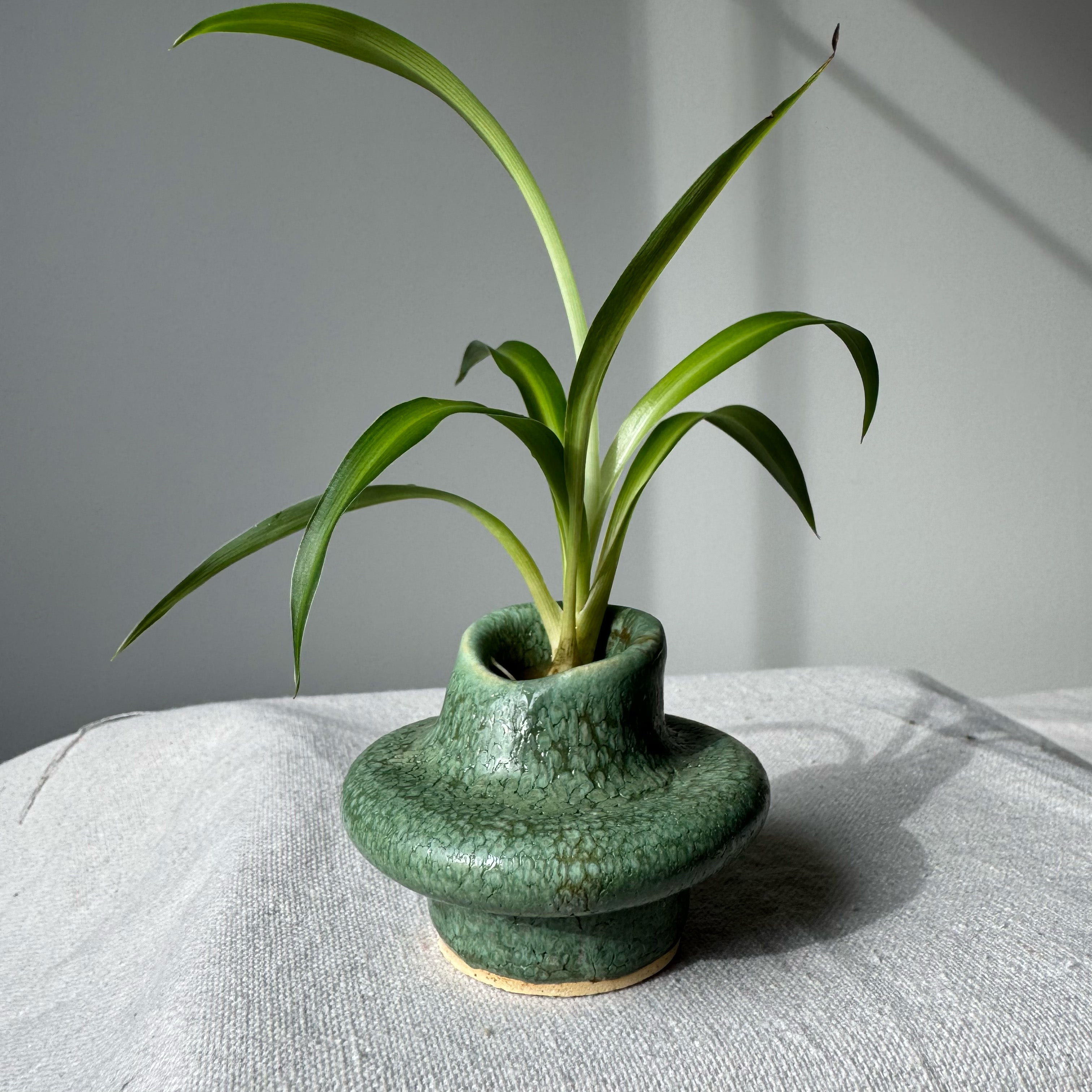 Green ceramic vase with a plant on a light gray surface