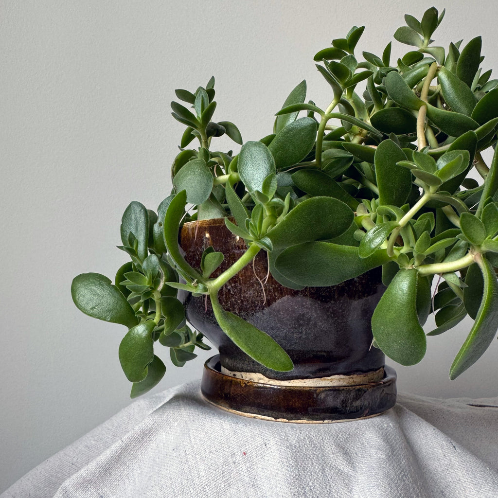 #111, #119 Paired Planter with Base