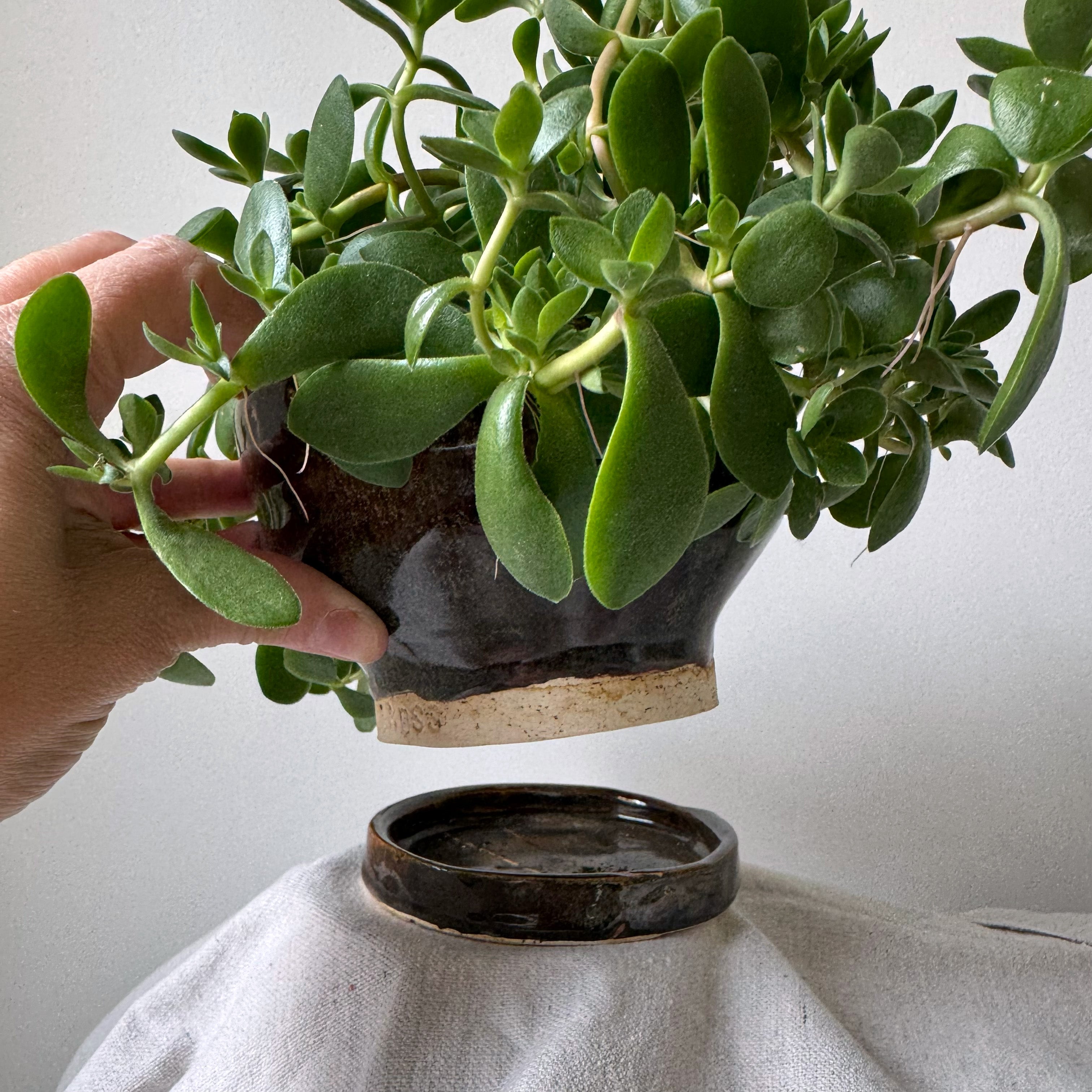 #111, #119 Paired Planter with Base