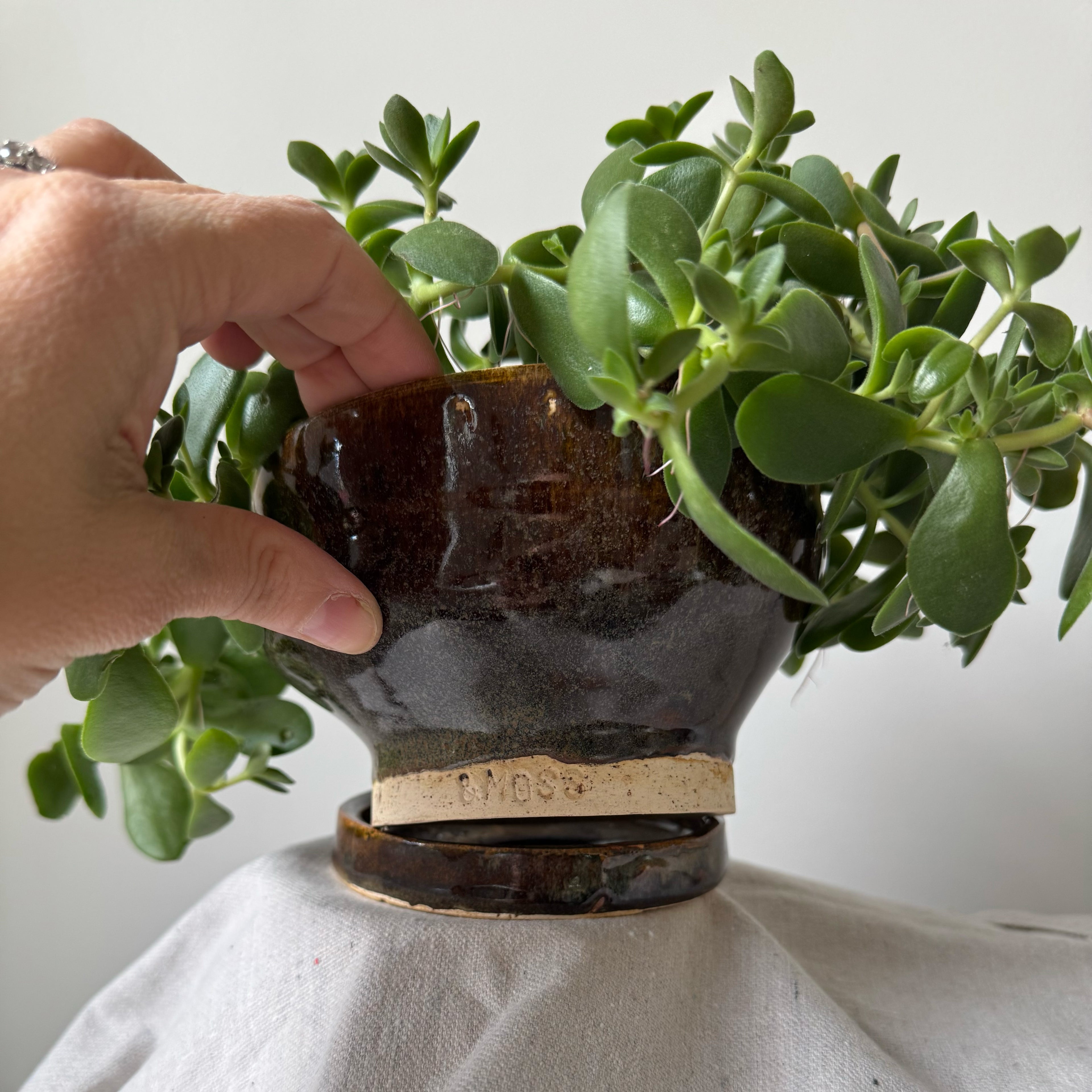 #111, #119 Paired Planter with Base