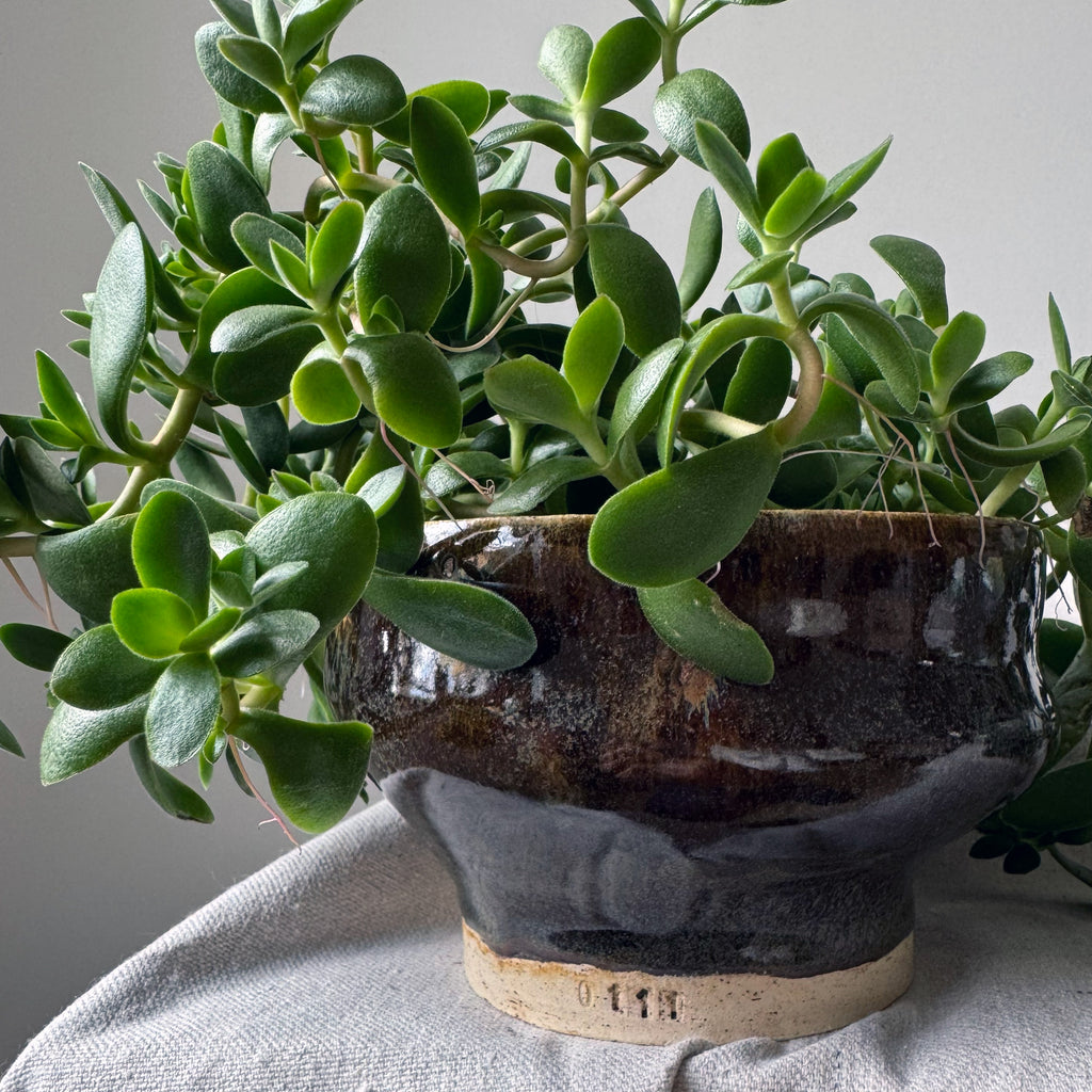 #111, #119 Paired Planter with Base