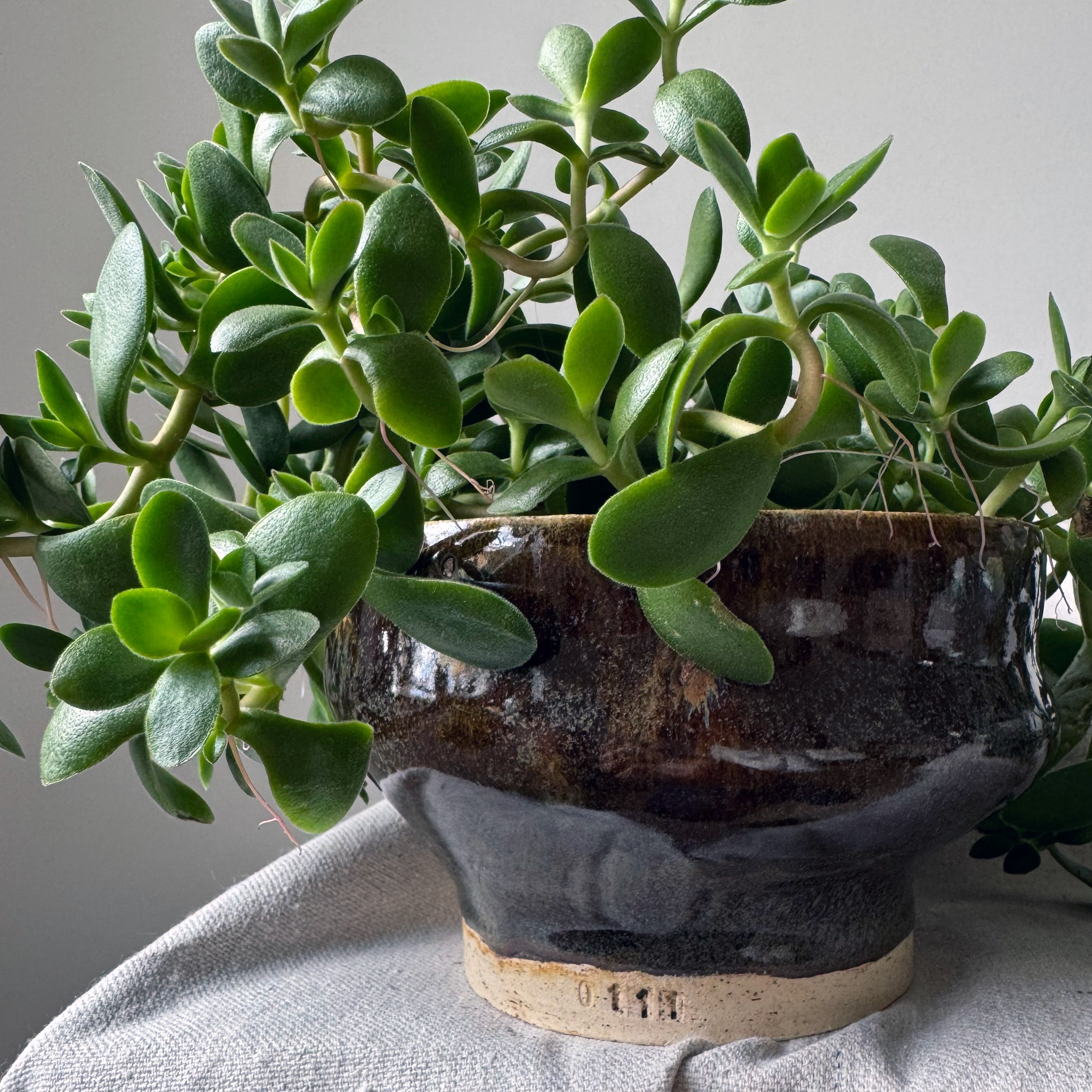 #111, #119 Paired Planter with Base
