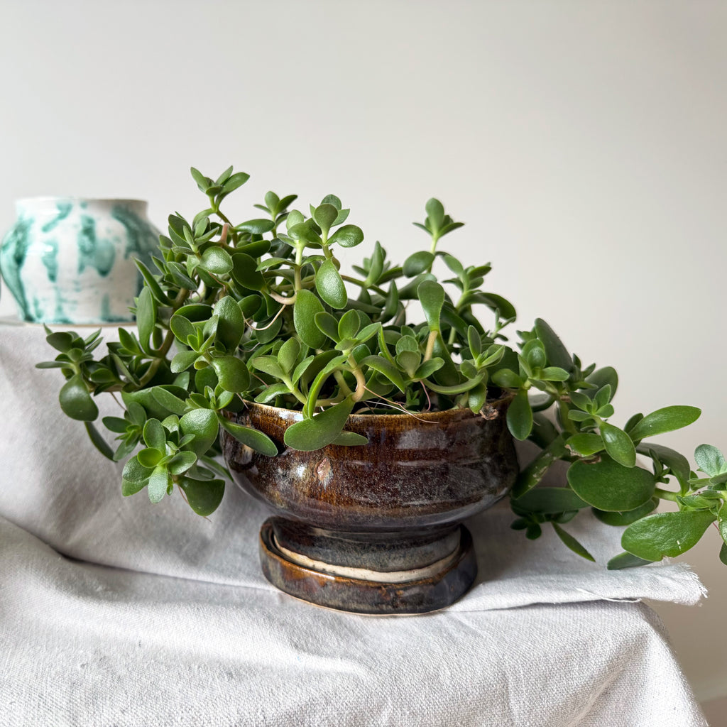 #111, #119 Paired Planter with Base