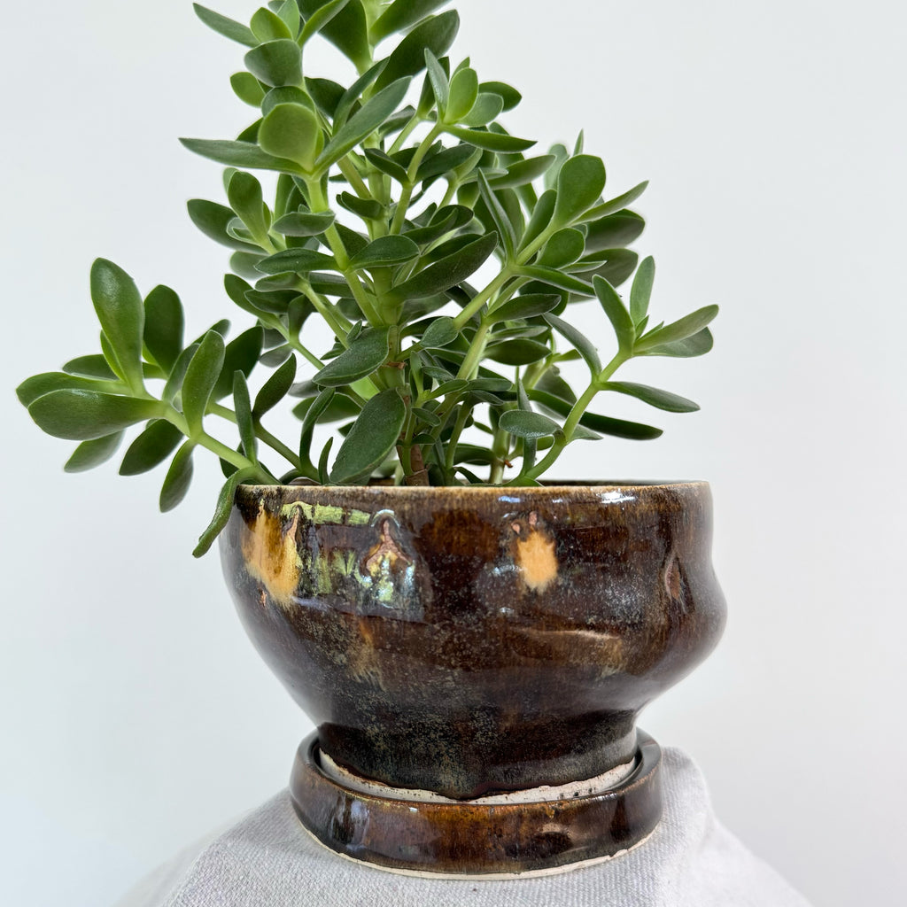 #111, #119 Paired Planter with Base