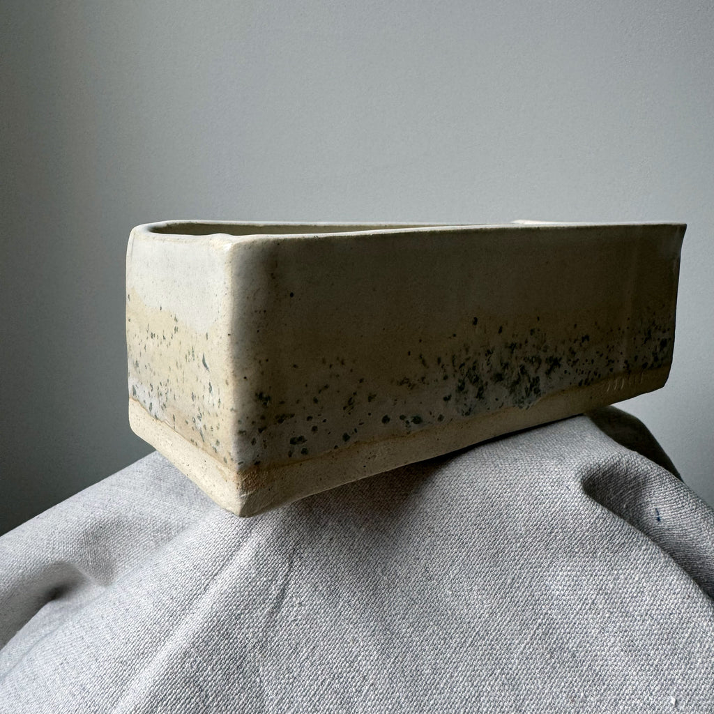 Rectangular ceramic planter on a textured surface with a neutral background