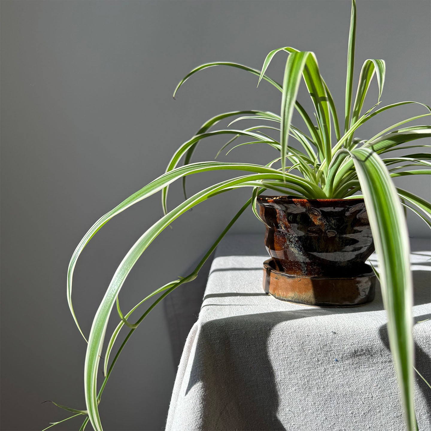 #121 Paired Planter with Base