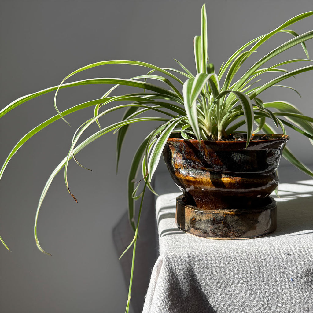 #121 Paired Planter with Base