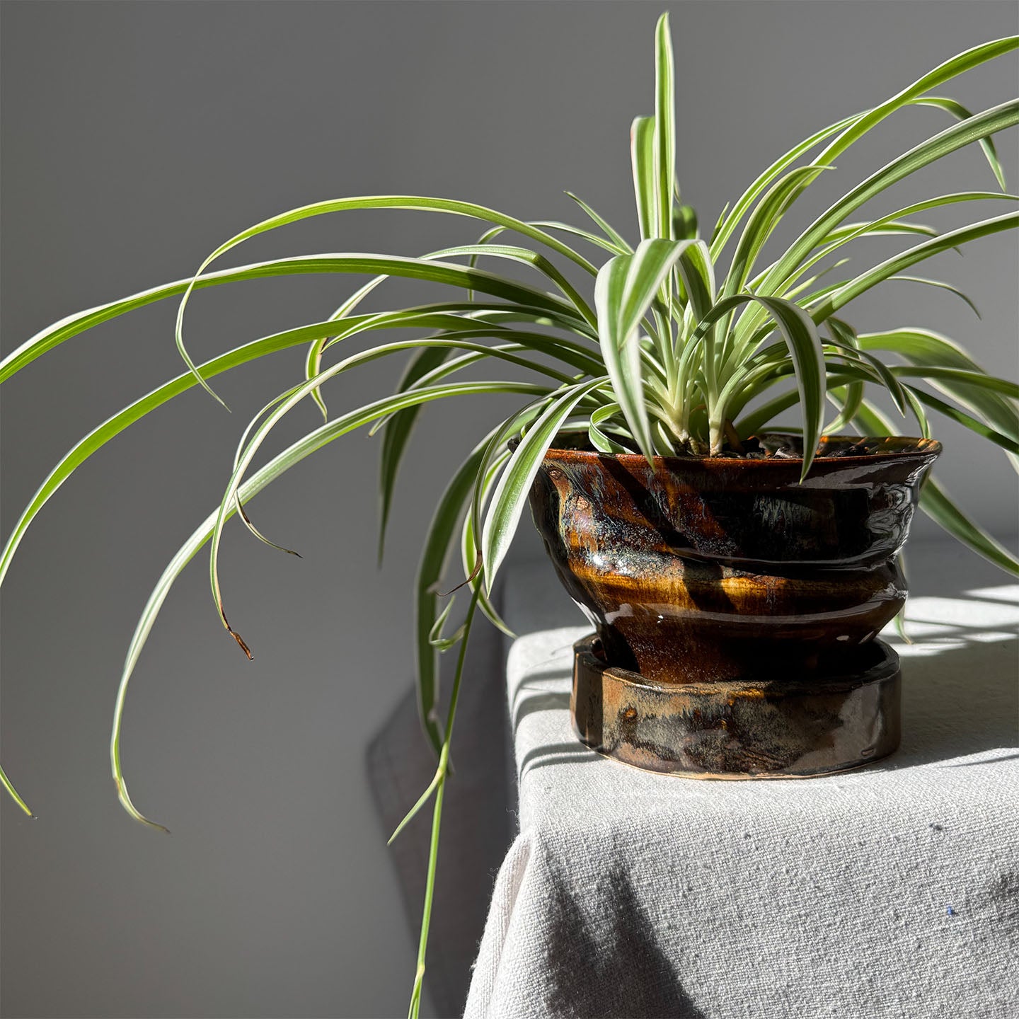 #121 Paired Planter with Base