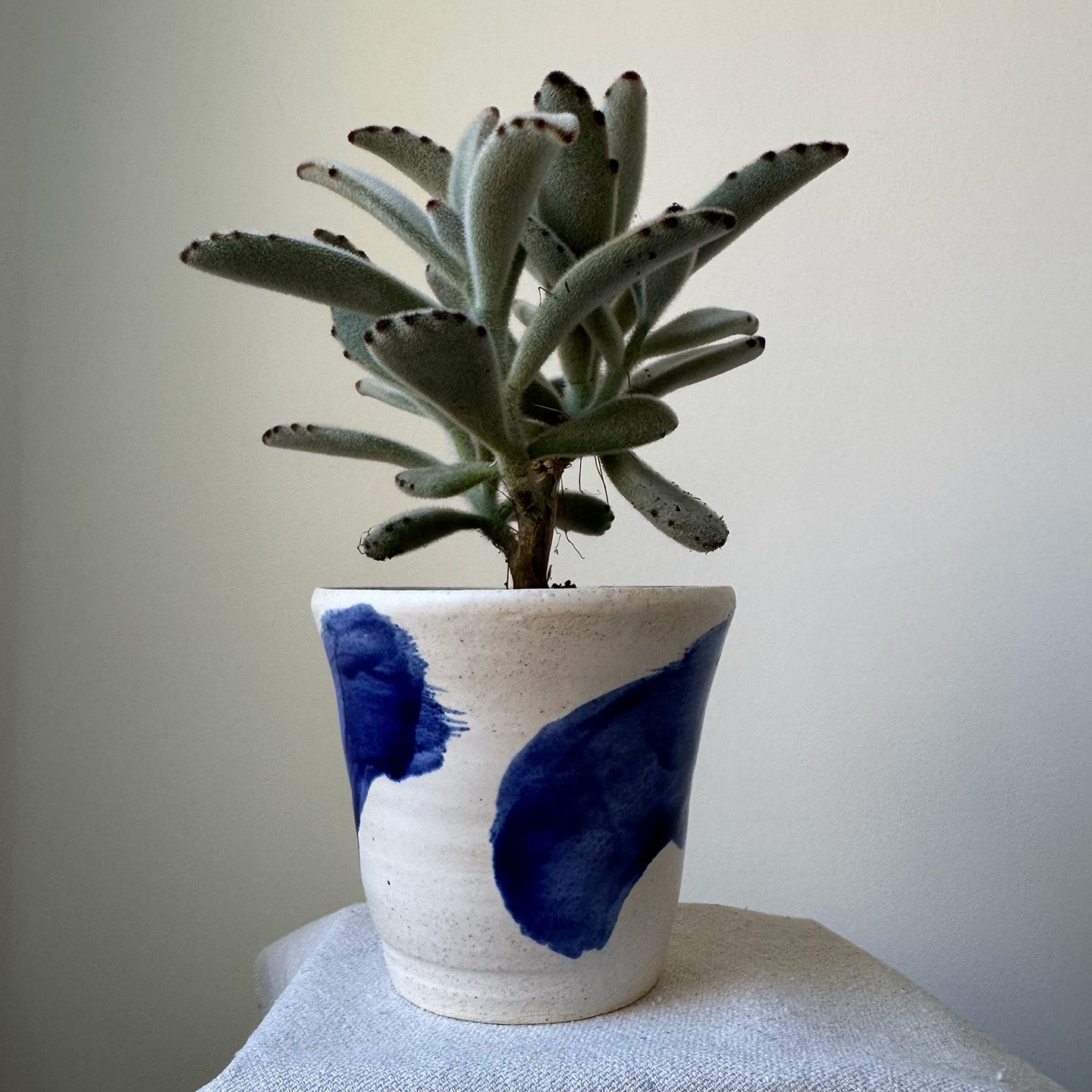 #169 Planter