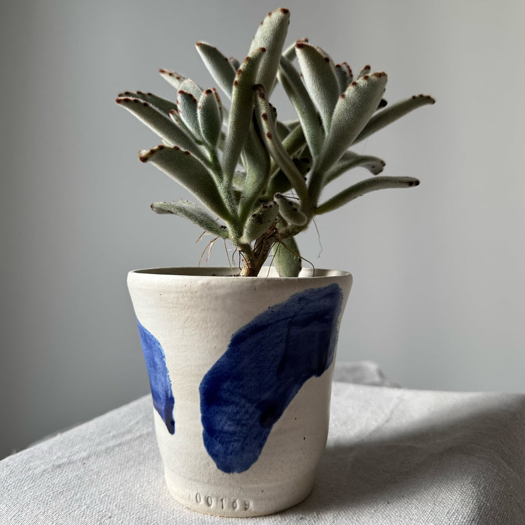 #169 Planter
