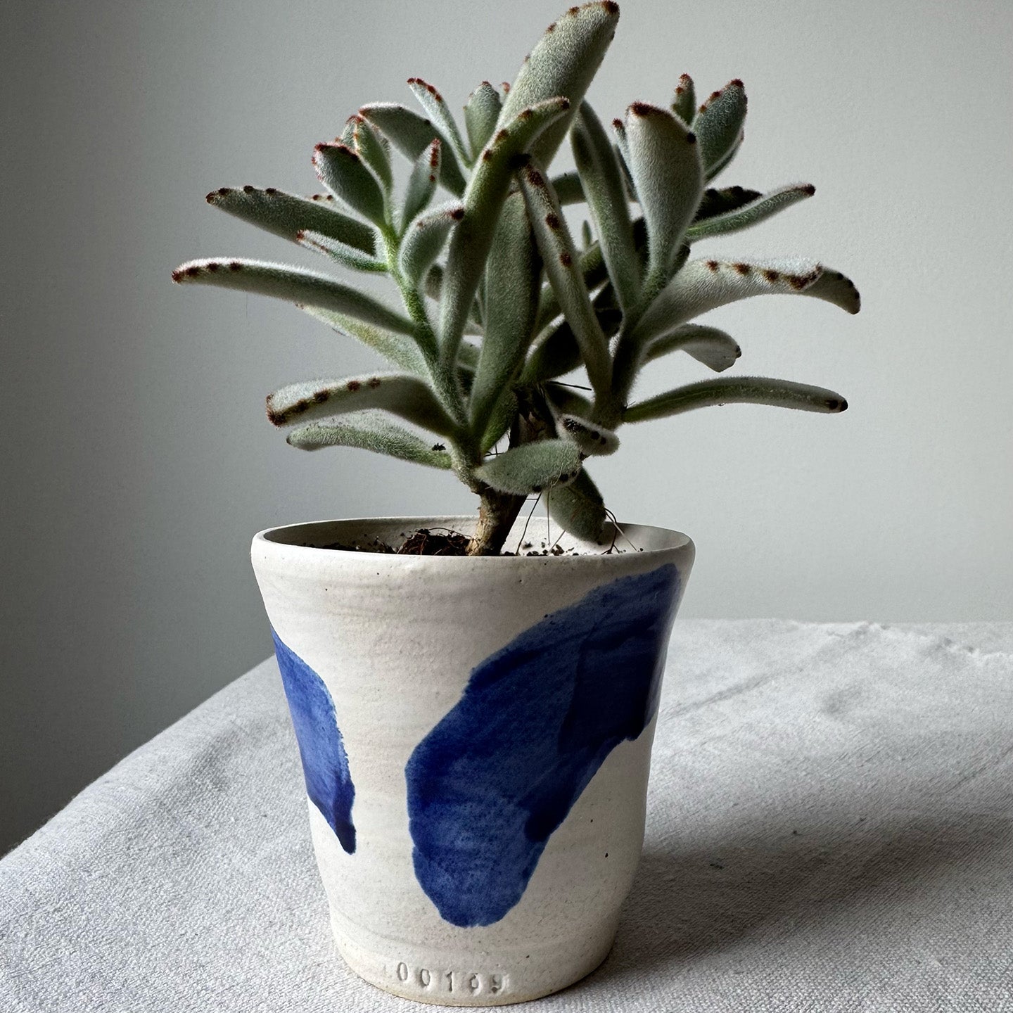 #169 Planter