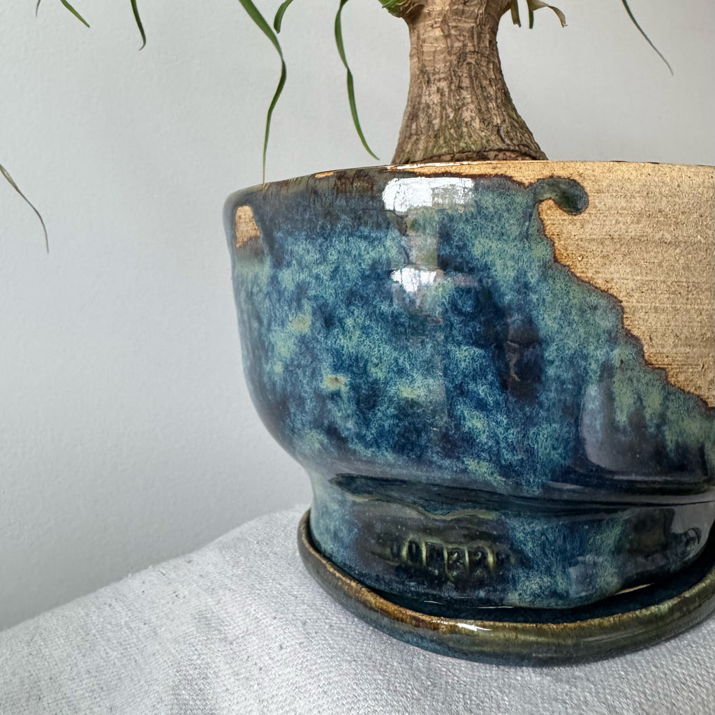 Blue ceramic pot with a plant on a light gray surface