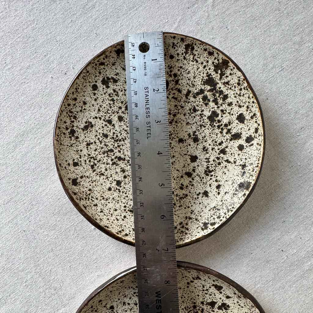 Speckled ceramic plates with a ruler for scale on a light gray background
