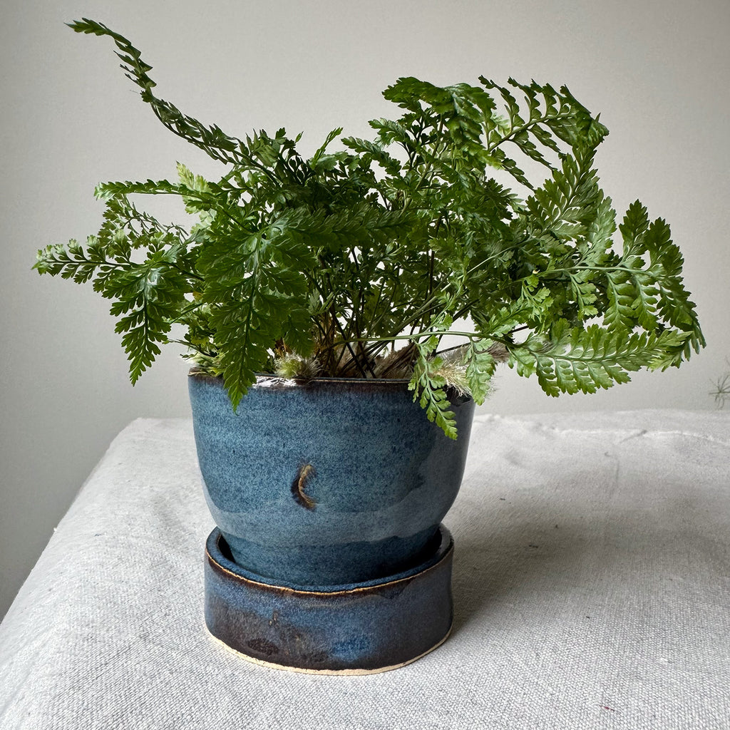 #86, #128, Paired Planter with Base