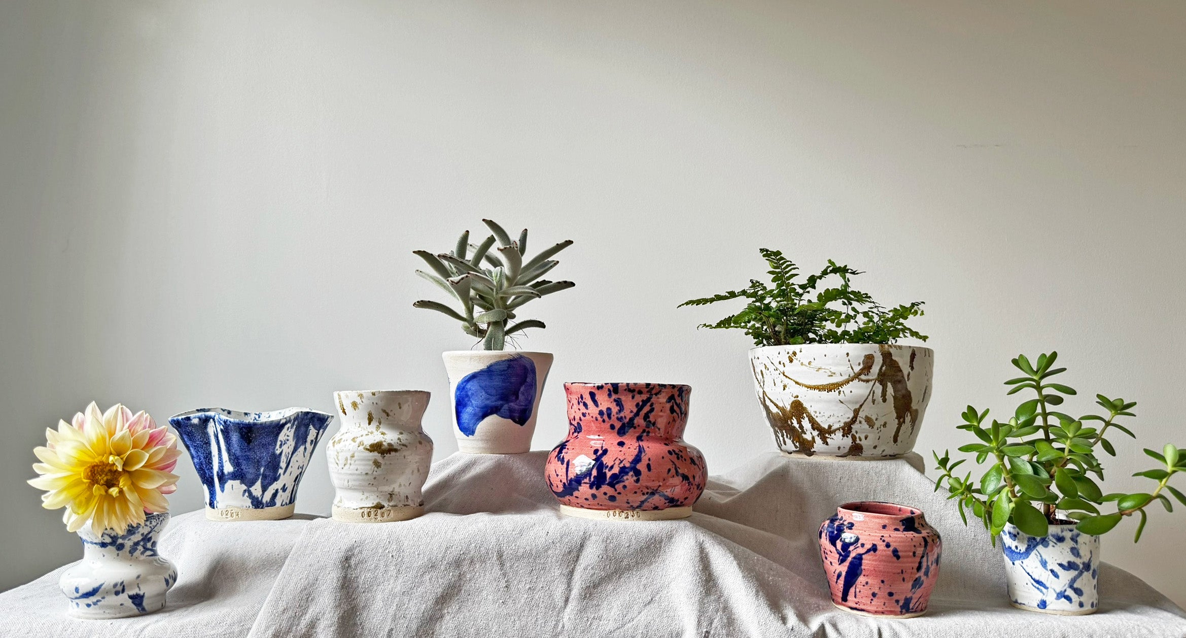 Collection of colorful ceramic planters with plants on a light surface.